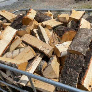 Birke – Das dekorative Brennholz mit angenehmem Duft