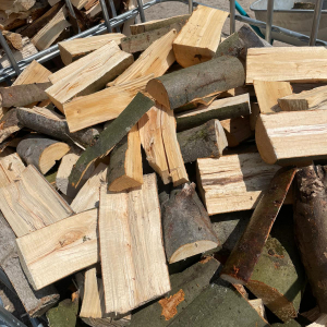 Buche – Hochwertiges Hartholz für langanhaltende Wärme